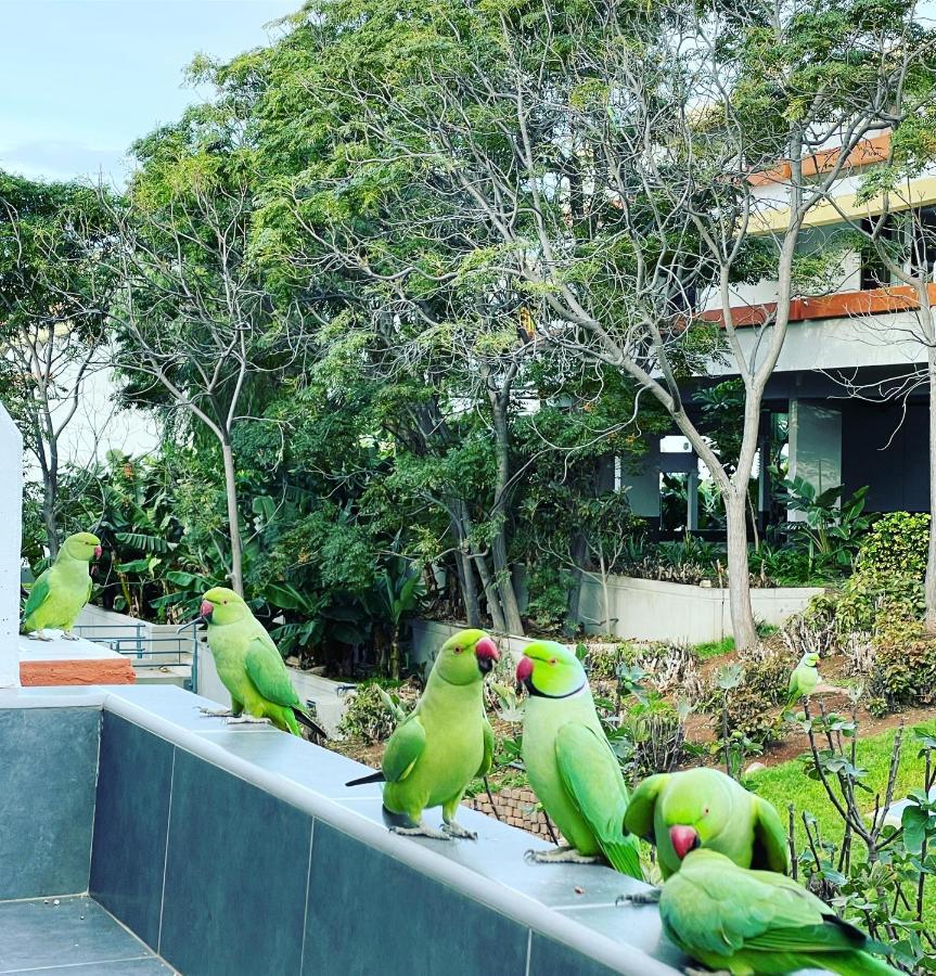Good Vibes Apartment Costa Del Silencio Ngoại thất bức ảnh