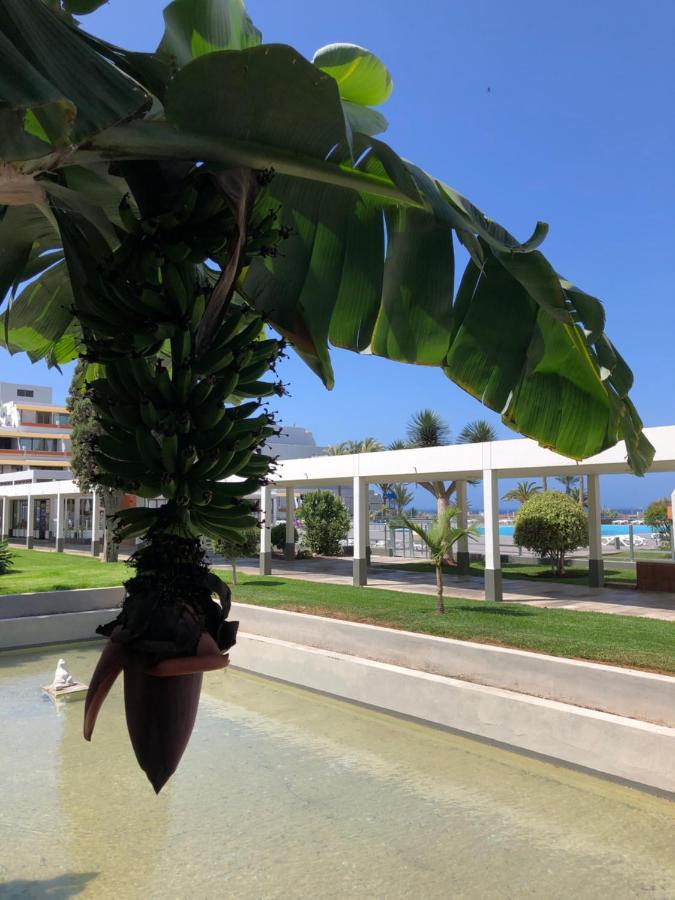 Good Vibes Apartment Costa Del Silencio Ngoại thất bức ảnh