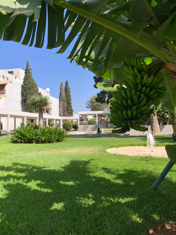Good Vibes Apartment Costa Del Silencio Ngoại thất bức ảnh